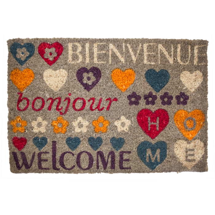 Covoras intrare RAKI 60x40cm