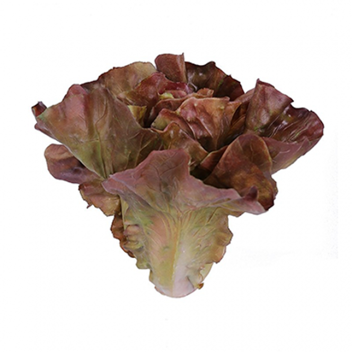 Salata verde decorativa RAKI Loollo Rossa 18x15cm