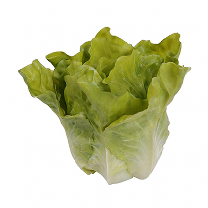 Salata verde decorativa RAKI 14x12xh14cm