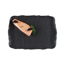 Platou dreptunghiular portelan BONNA SHADE 33x23cm (SH 36DT)