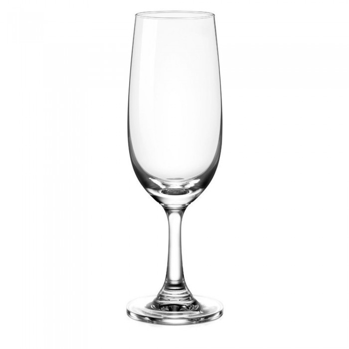 Set 6 pahare pentru sampanie OCEAN SOCIETY, 190ml, D5,7xh18,4cm, sticla