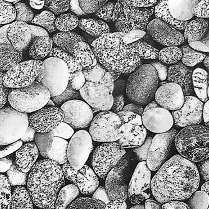 Covor baie NESE AQUA décor 29/4 100x65cm spuma PVC MN0192102