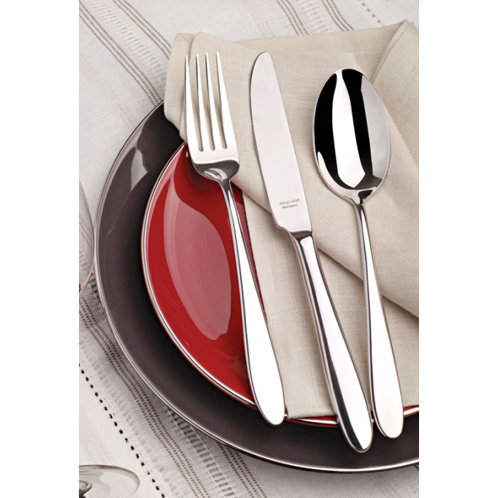 Polonic inox pentru supa model PARIS