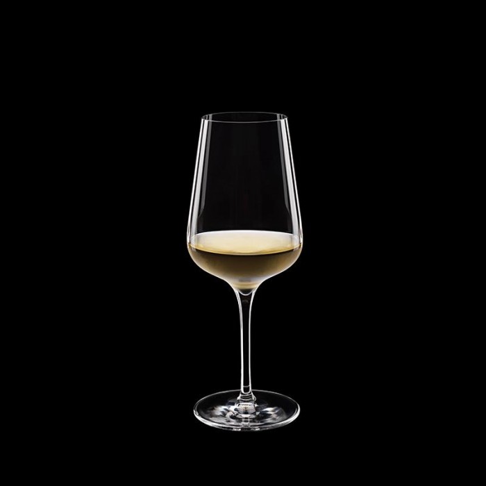 Set 6 pahare vin alb LUIGI BORMIOLI INTENSO 450ml D8,5xH22cm