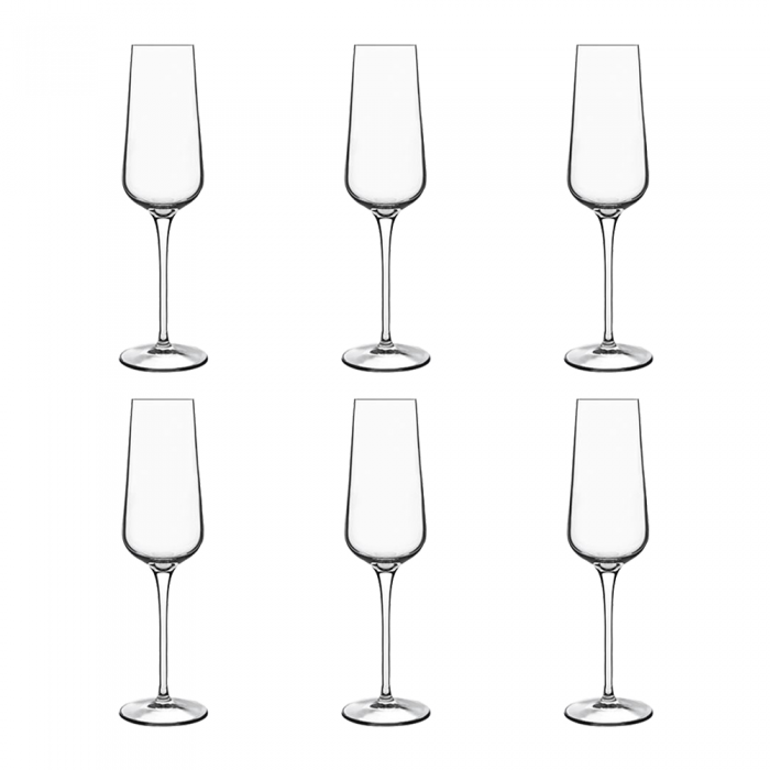 Set 6 pahare sampanie LUIGI BORMIOLI INTENSO 240ml D7xH24cm